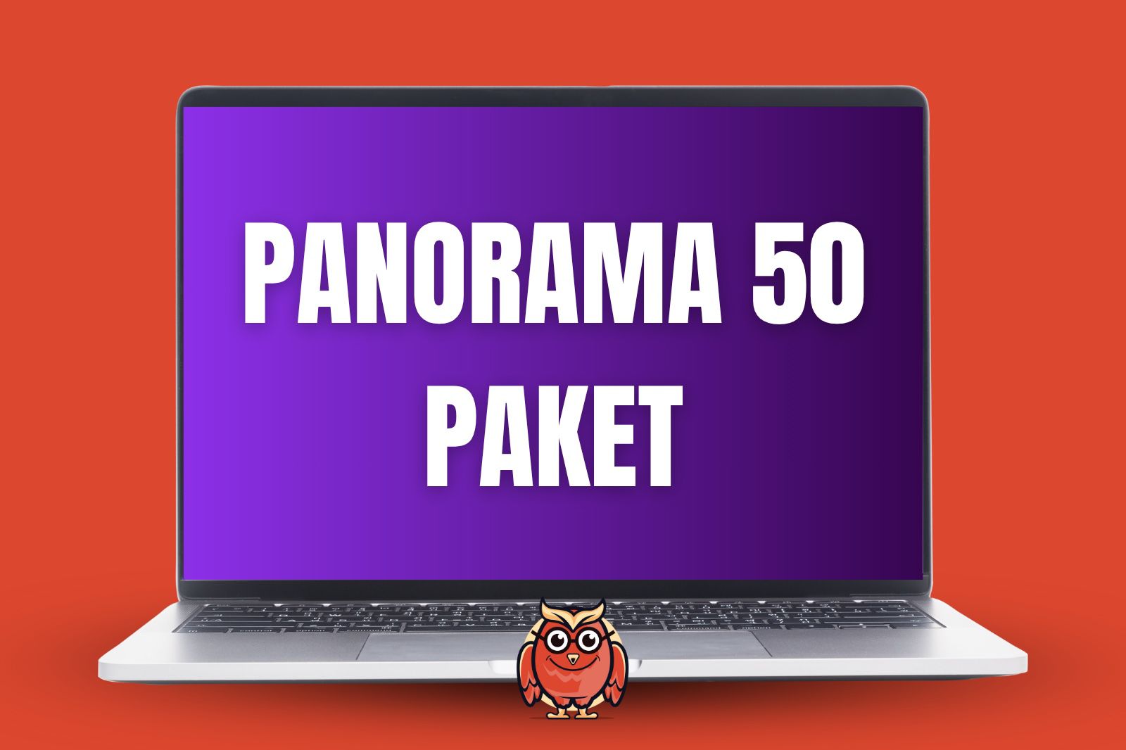 PANORAMA 50 PAKETİ (YILLIK)  YKS- LGS
